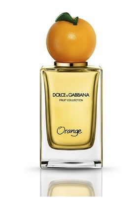 ※写真は本体です