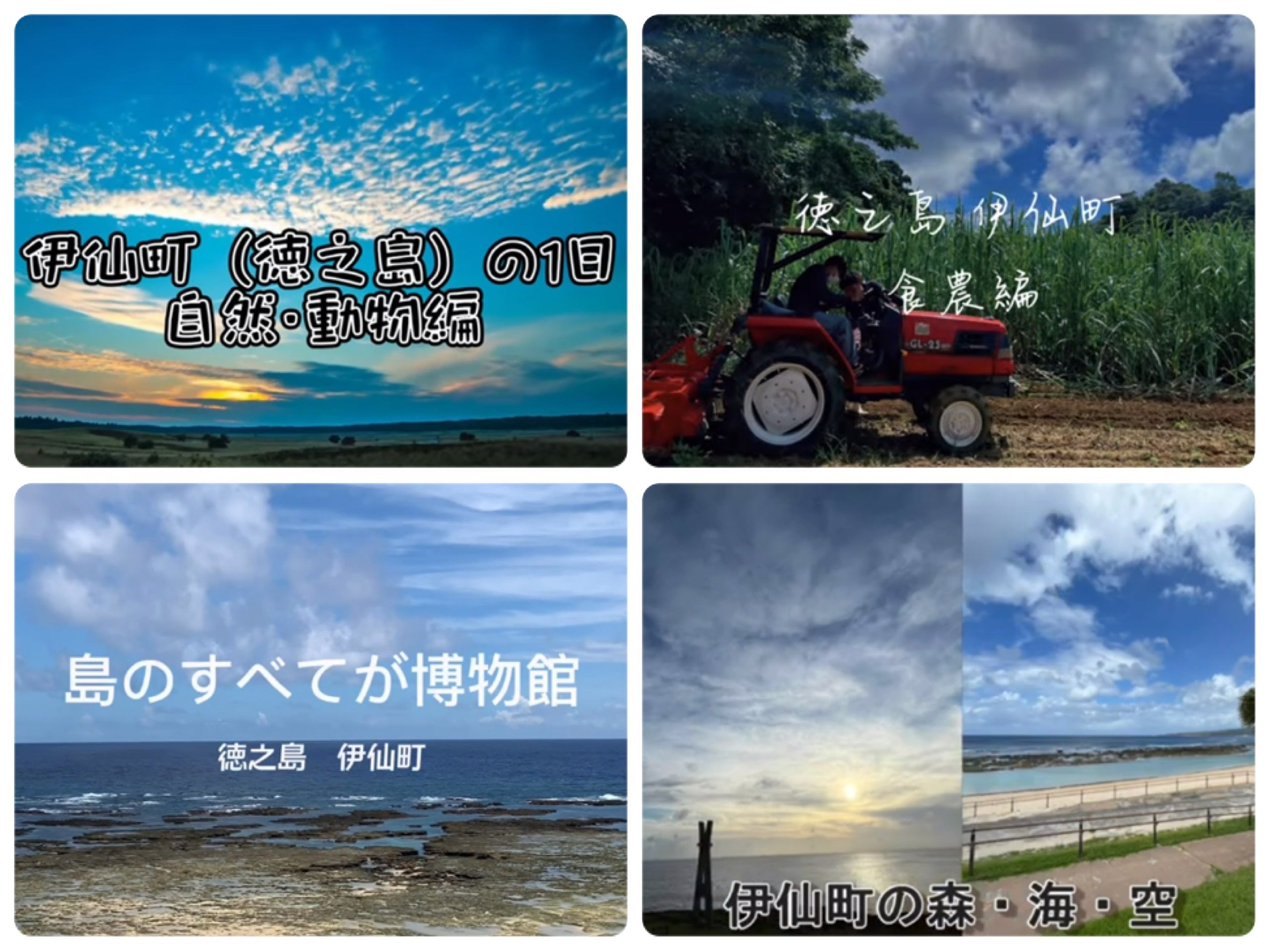 学生が制作した4本の動画