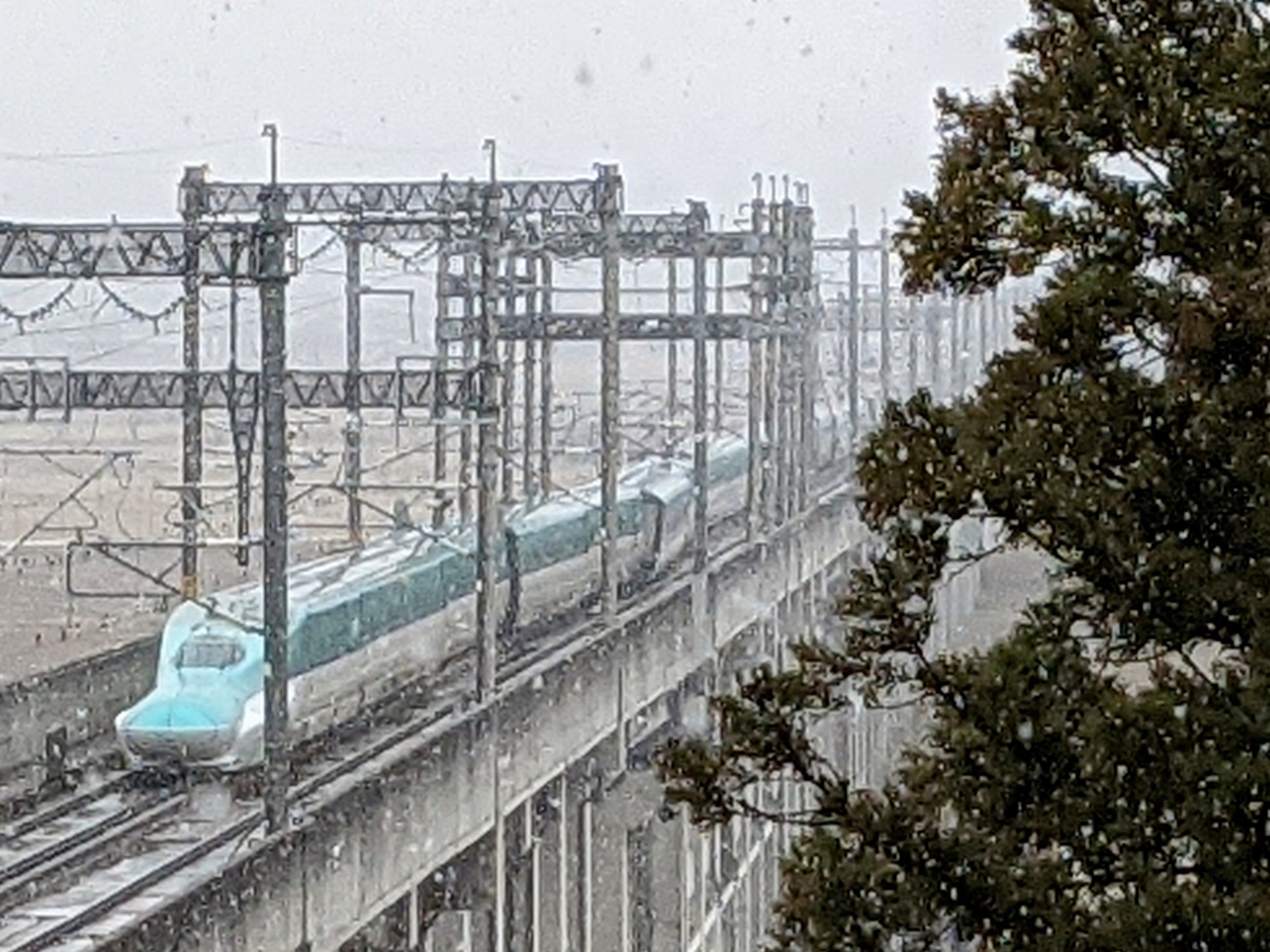 3月18日、地上からの撮影