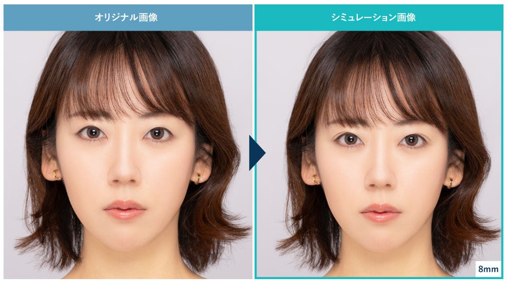 シミュレーションのイメージ