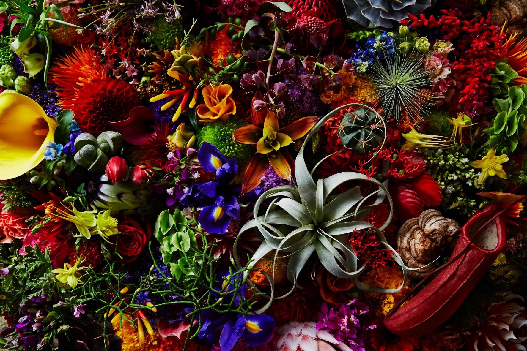 TCB新宿三丁目院のデザイン例