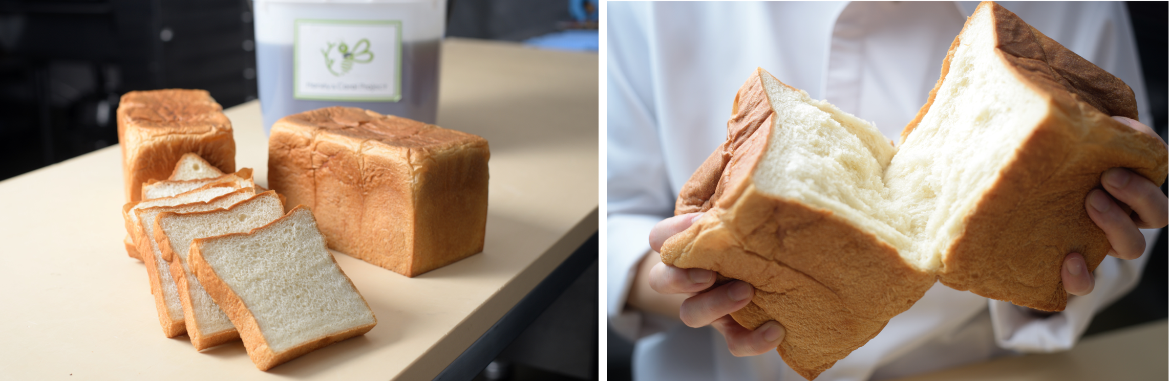 恩納はちみつ パン・ド・ミ