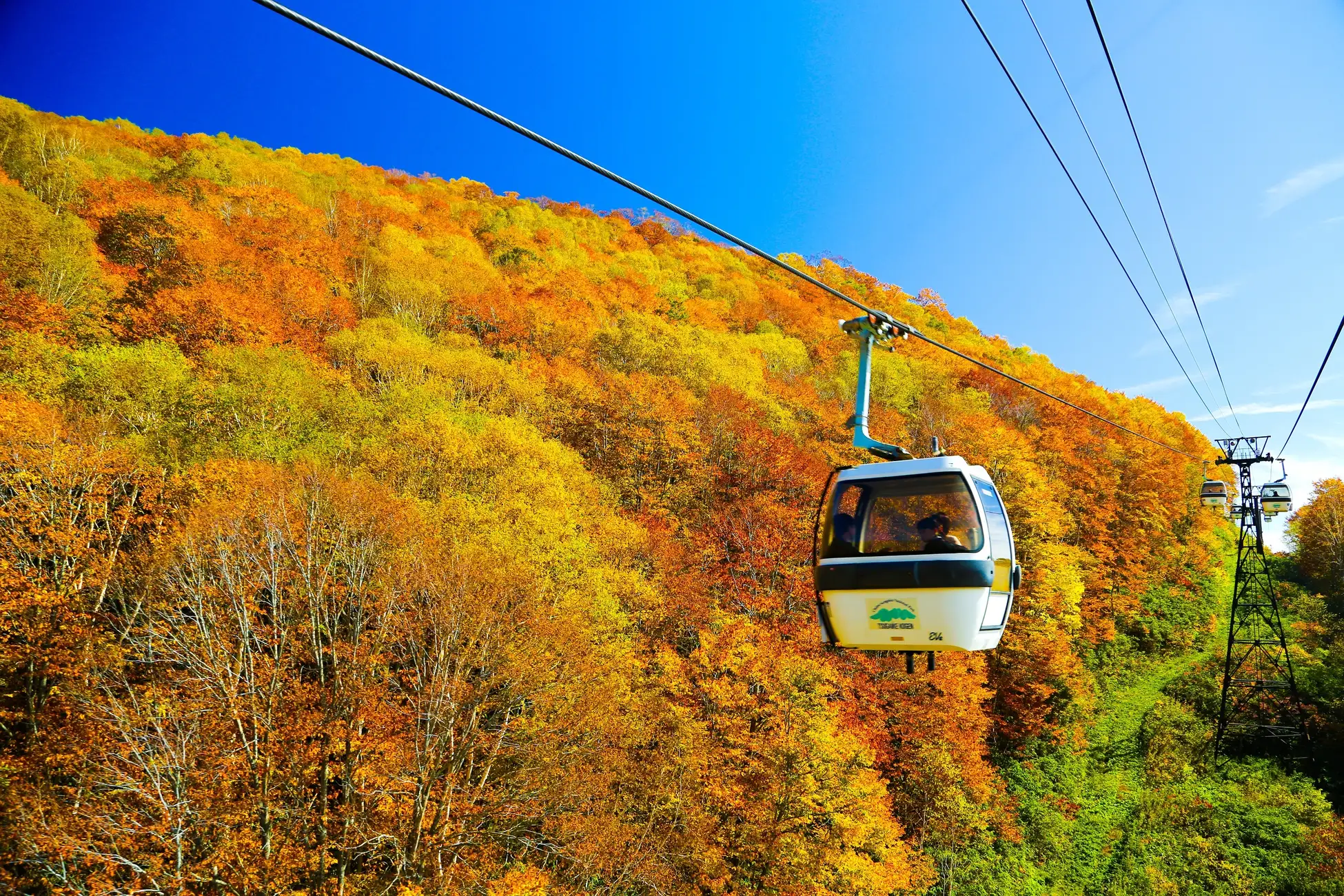 紅葉のゴンドラリフト