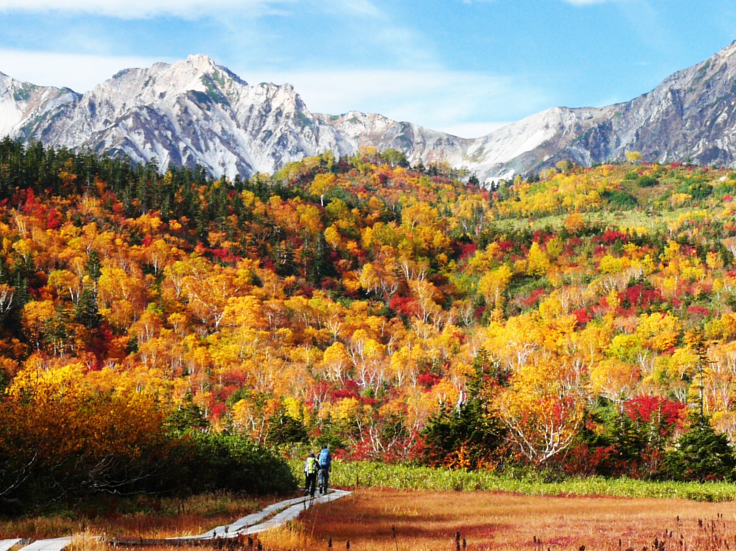 初秋の栂池自然園