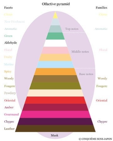 香りのピラミッド。18種類のファセットの重量や持続性を図式化したもの。