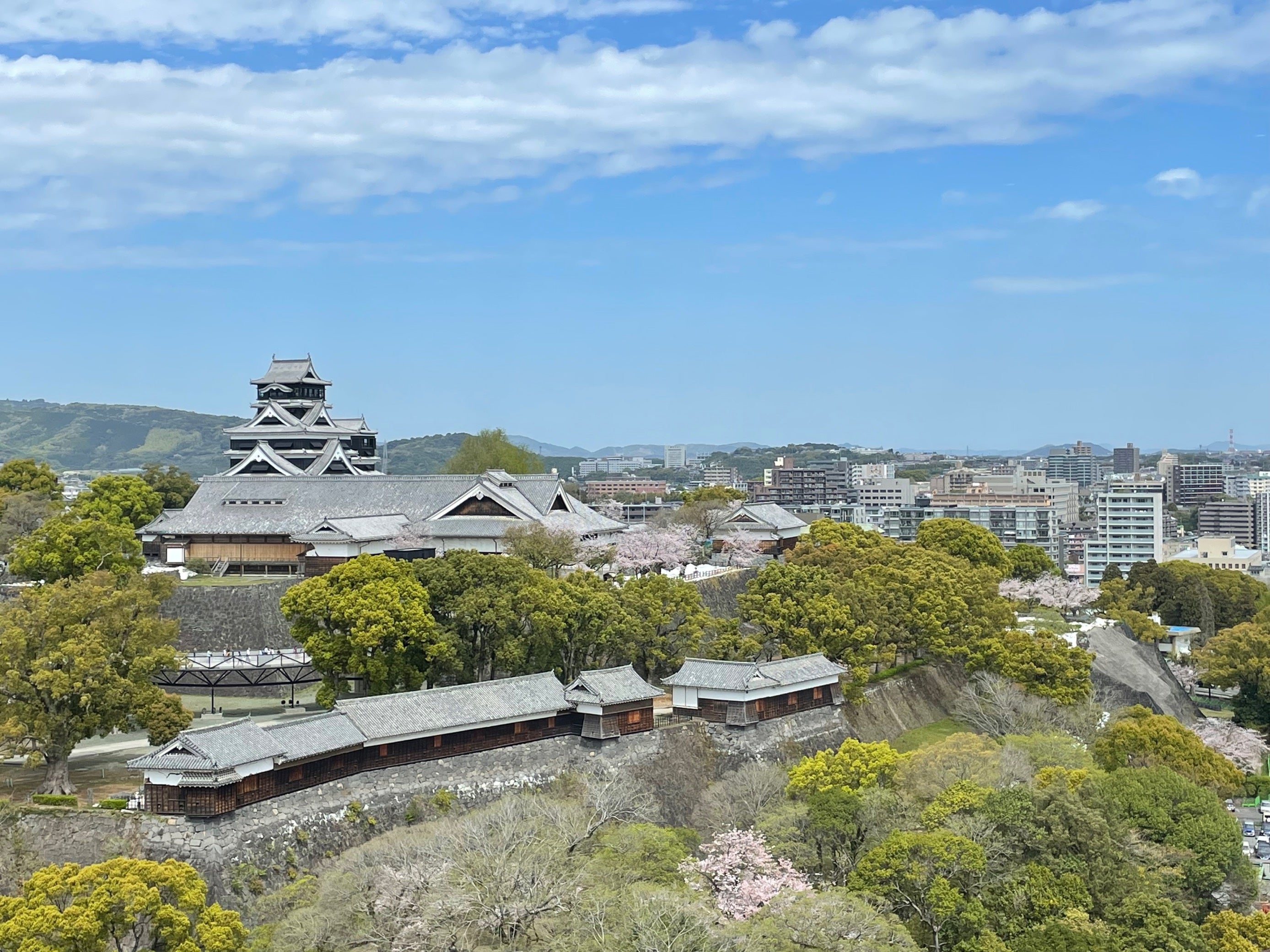 熊本市役所から見た熊本城