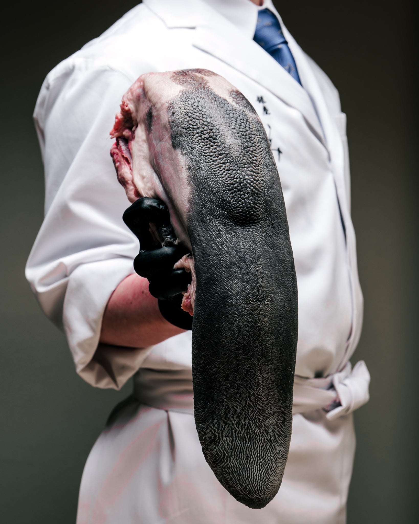 厳選された最高級食材