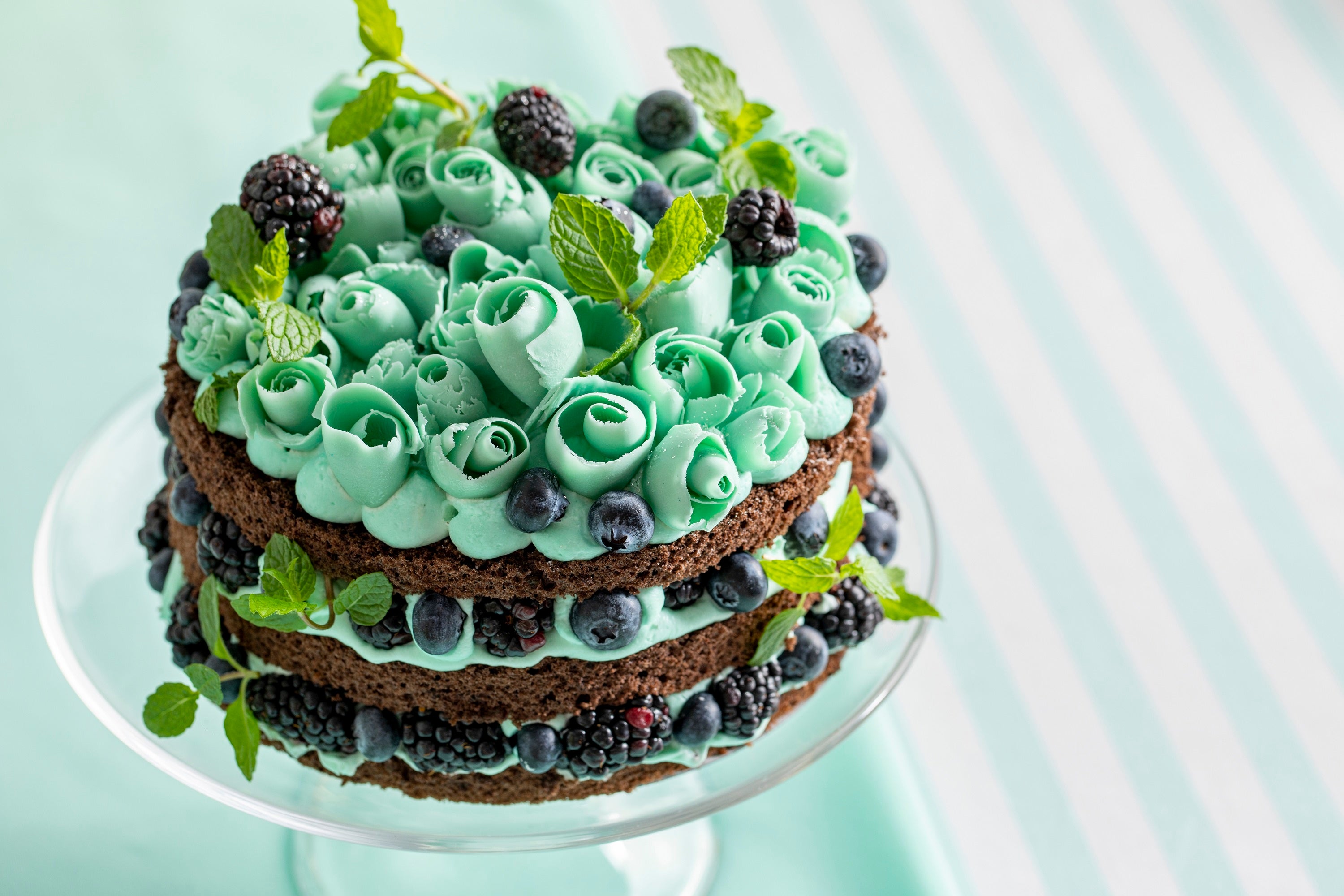 アリス推しのチョコミントケーキ