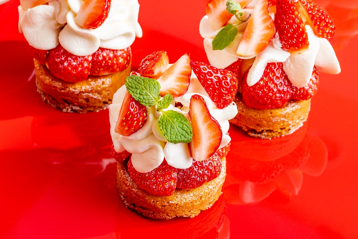 ロックンロール・パーティークイーン