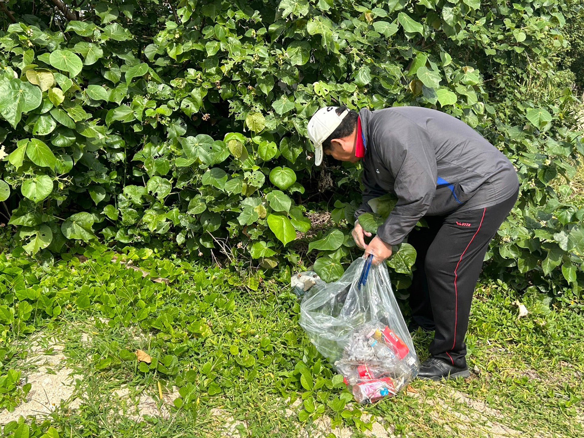 ビーチクリーンの様子