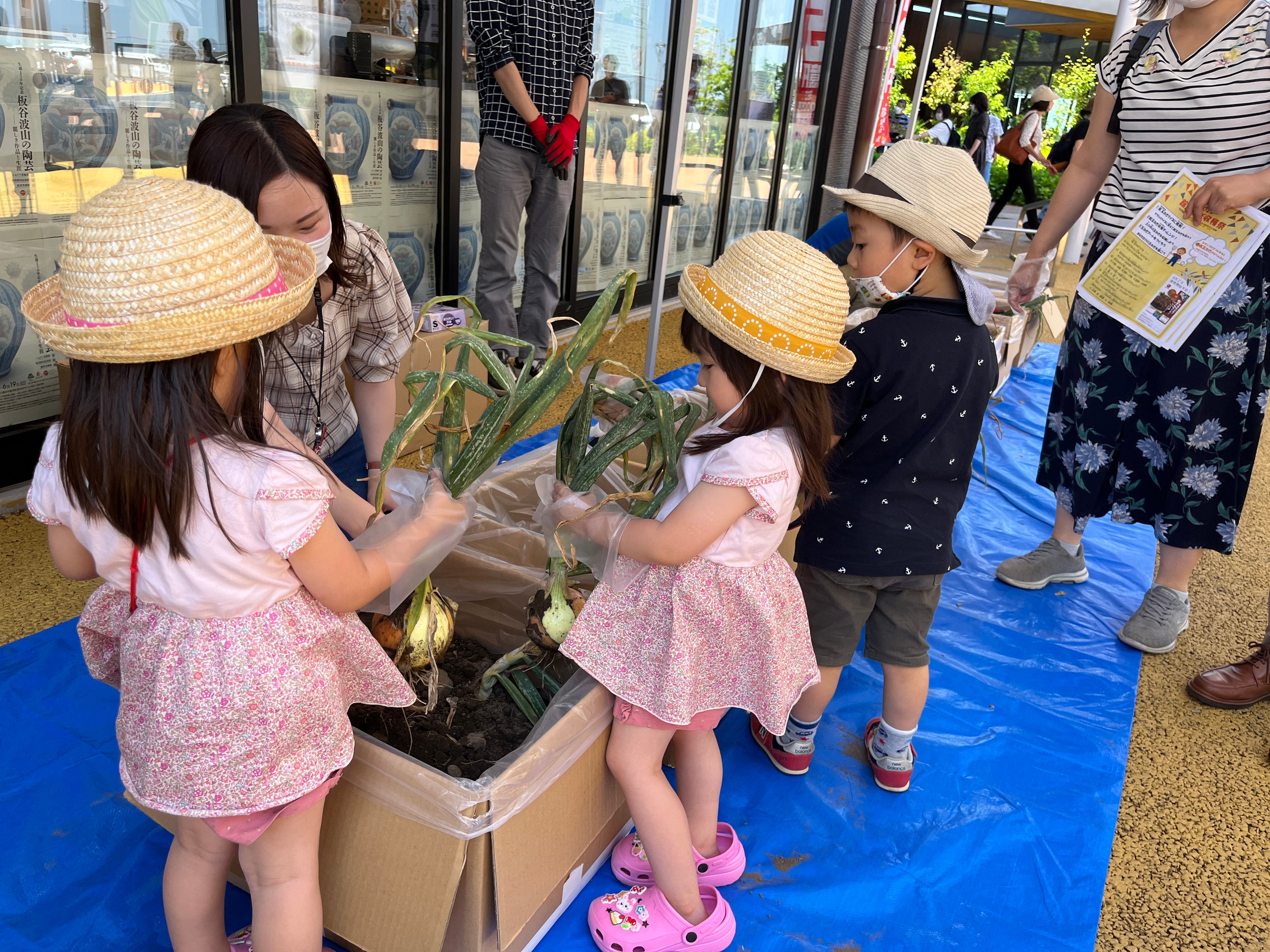 小石の多い館玉ねぎの農地環境を段ボールとビニール袋で再現