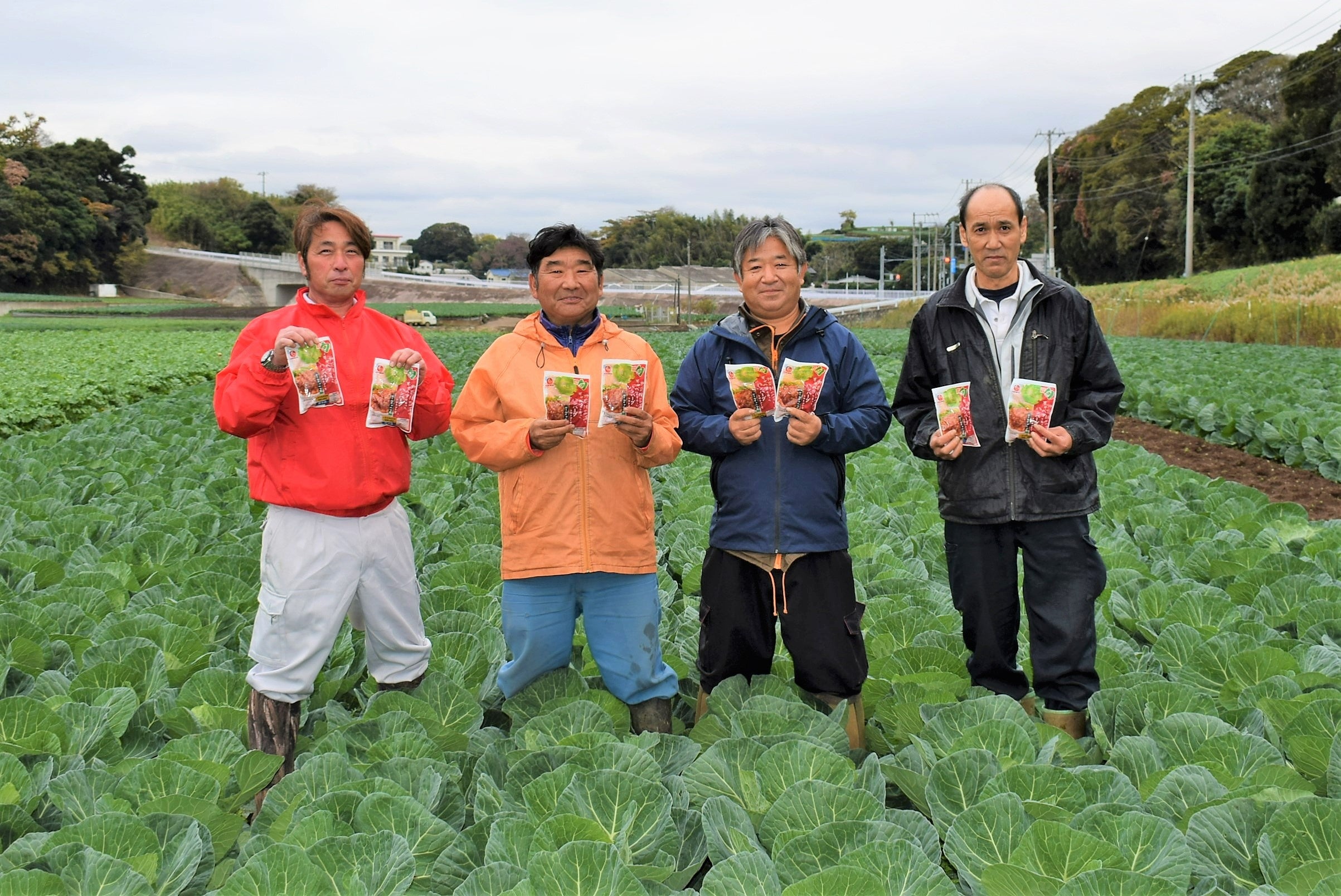 三浦市のキャベツ生産者 高清会の 4 名（左から鈴木健一氏、清水孝幸氏、加藤直樹氏、鈴木靖浩氏）