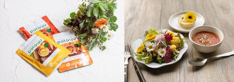 千葉鴨川 苗目のエディブルブーケと野菜と玄米のおかゆ（potayu）×3 種　盛付イメージ