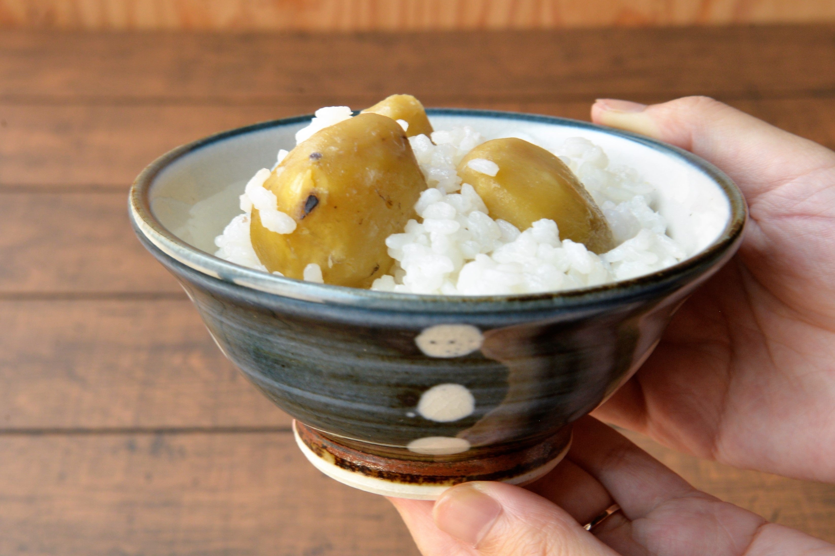 『京丹波の焼き物』 呉須蝋抜点文飯碗