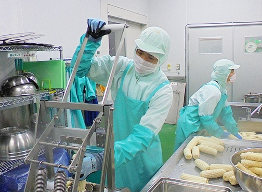 専用の機械で京都舞コーンの芯と粒を手作業で1 本1 本分ける様子