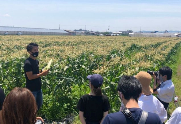 過去の収穫体験の様子 ■