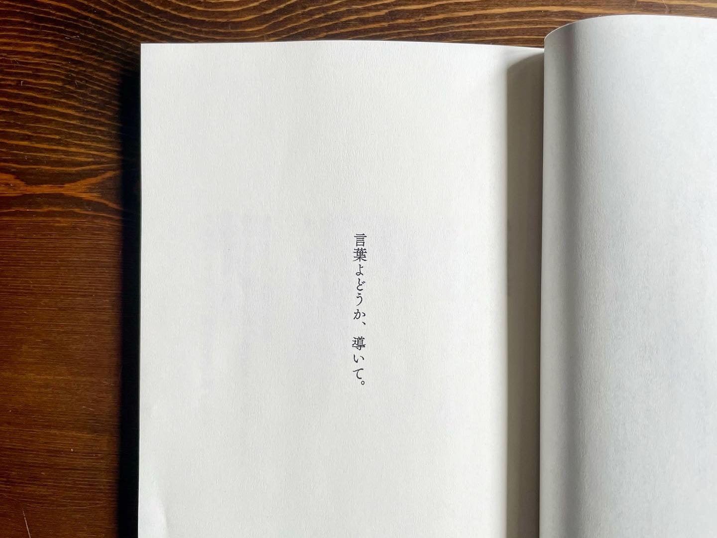 ZINE「旅する僕らの天体観測」