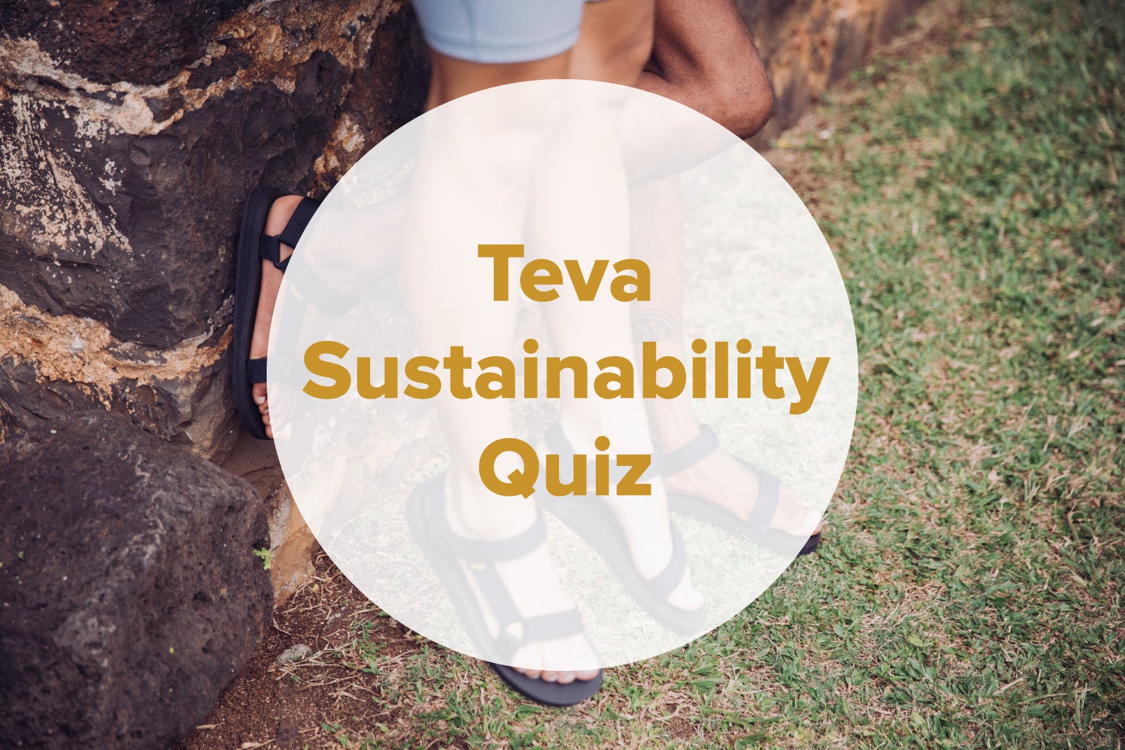 「テバ サステナビリティ クイズ」キャンペーン