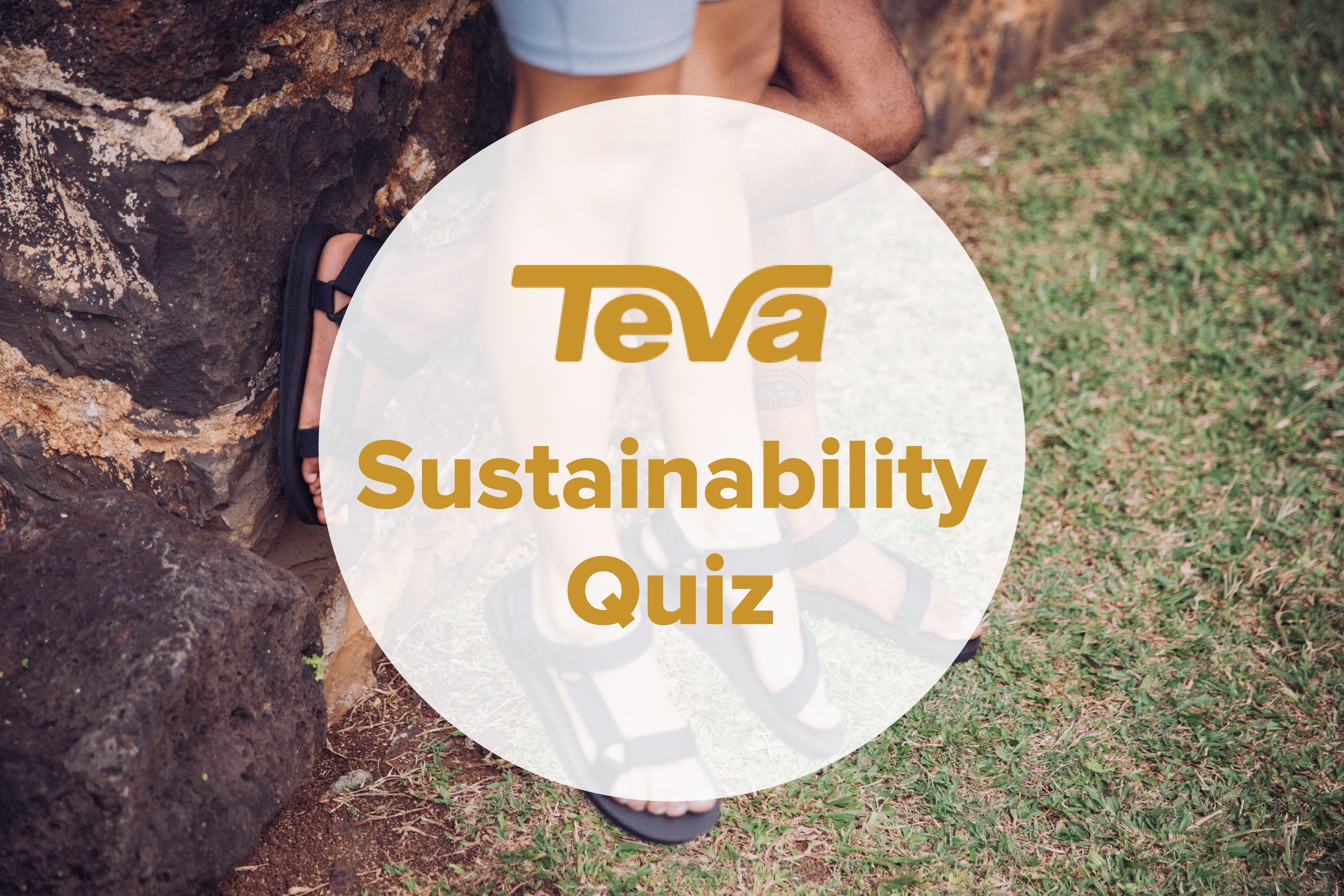 「テバ サステナビリティ クイズ」キャンペーン
