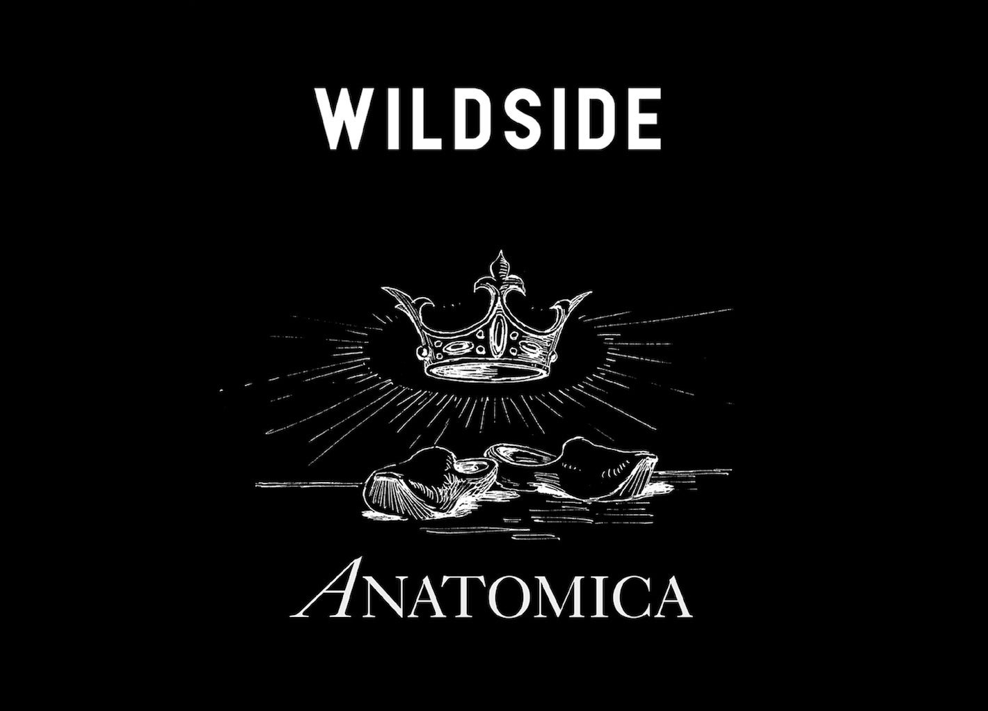 WILDSIDE ヨウジヤマモト ANATOMICA アナトミカ デニム パンツ WILDSIDE YOHJI YAMAMOTO × ANATOMICAのコラボデニム