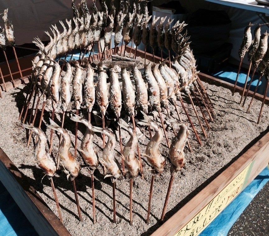 新潟 火処による鮎の塩焼き