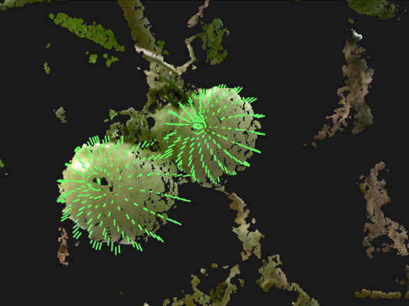 認識カメラによる形状解析