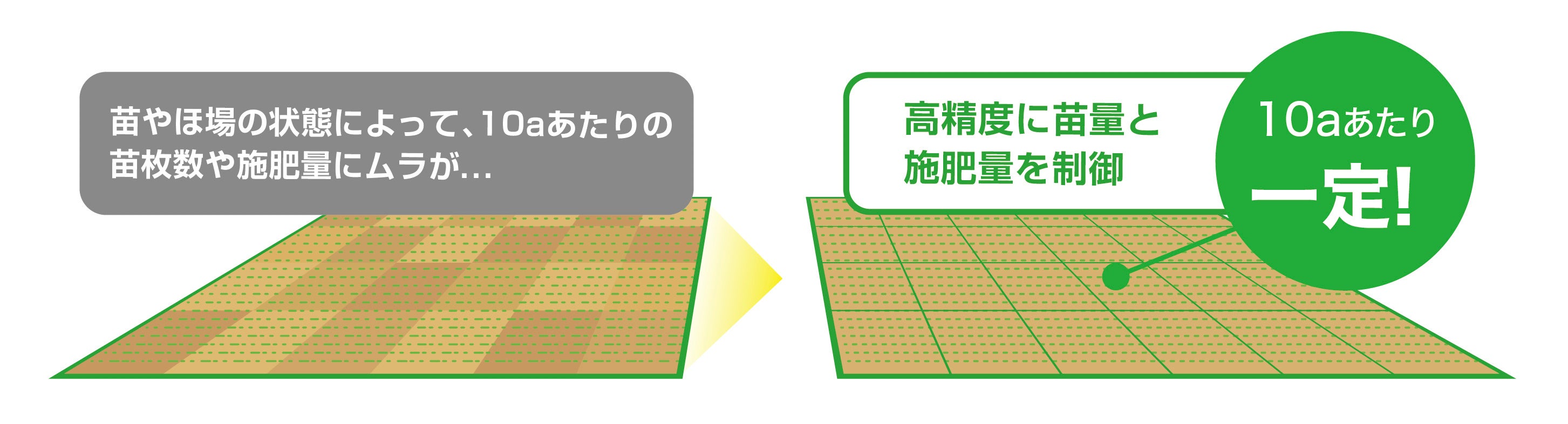 苗量アシスト＆施肥量アシスト機能イメージ