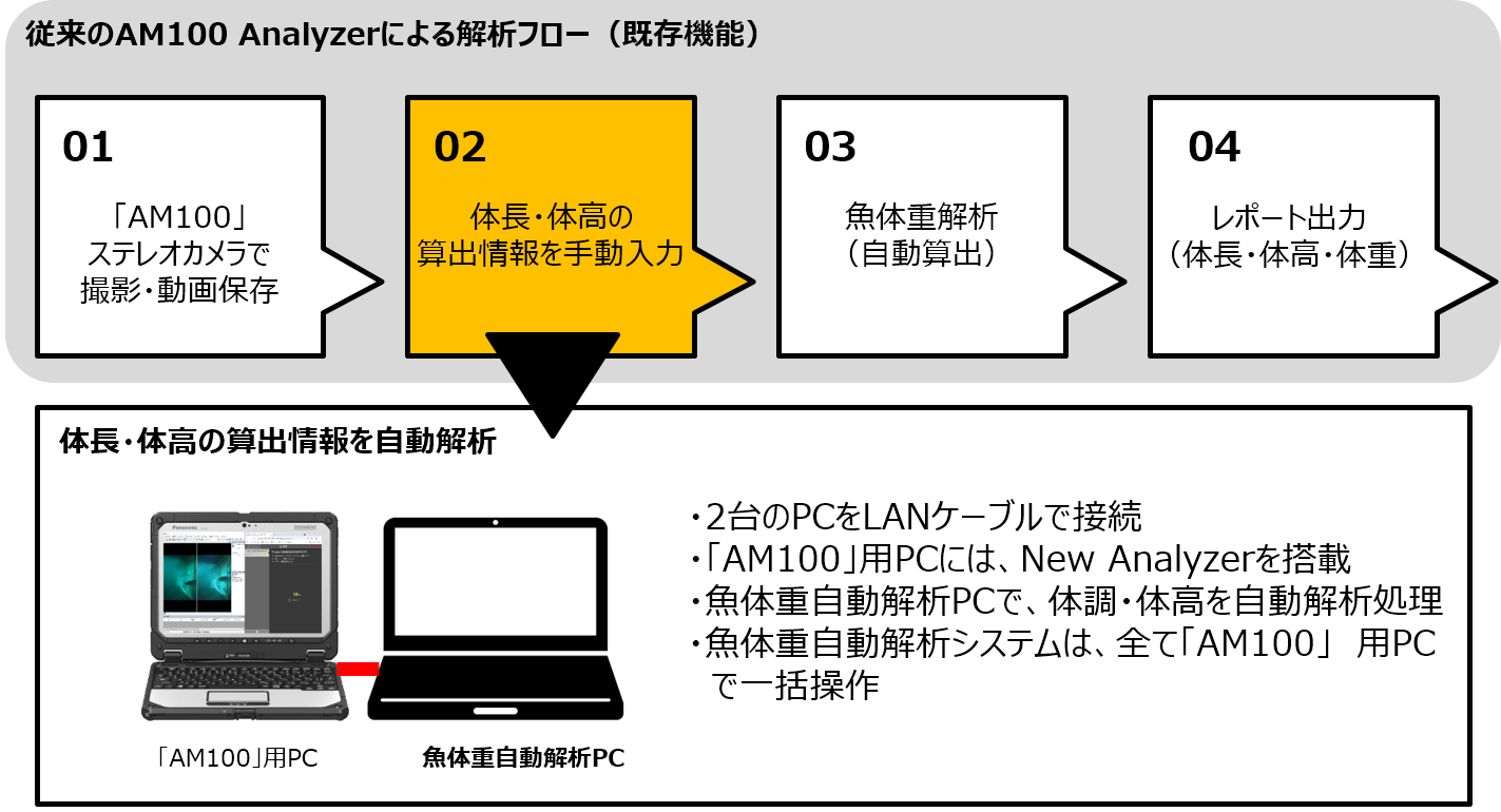 魚体重解析の流れ