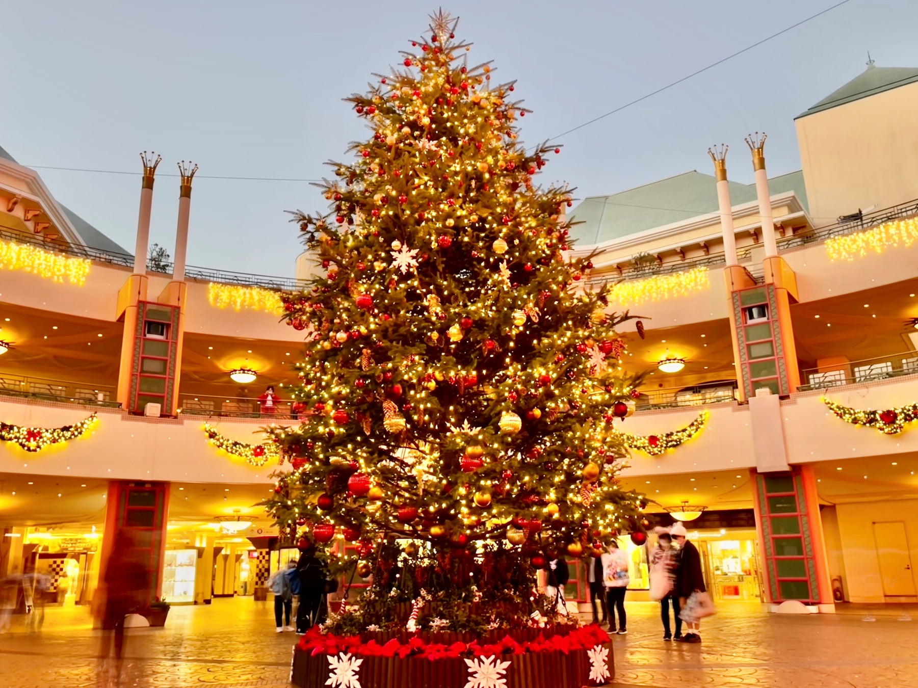 夜のクリスマスツリー(11.7撮影)