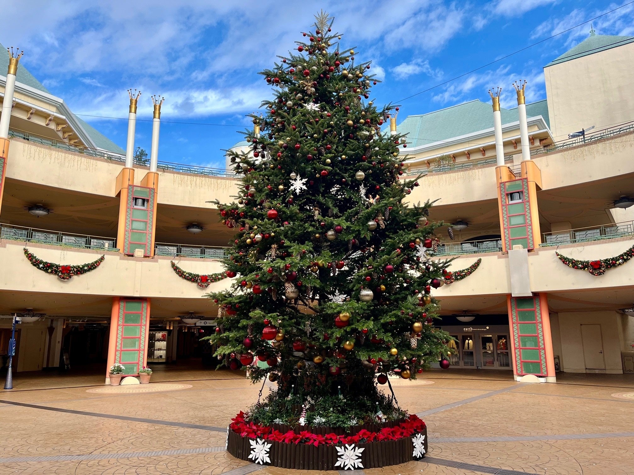 昼のクリスマスツリー（11.7撮影）
