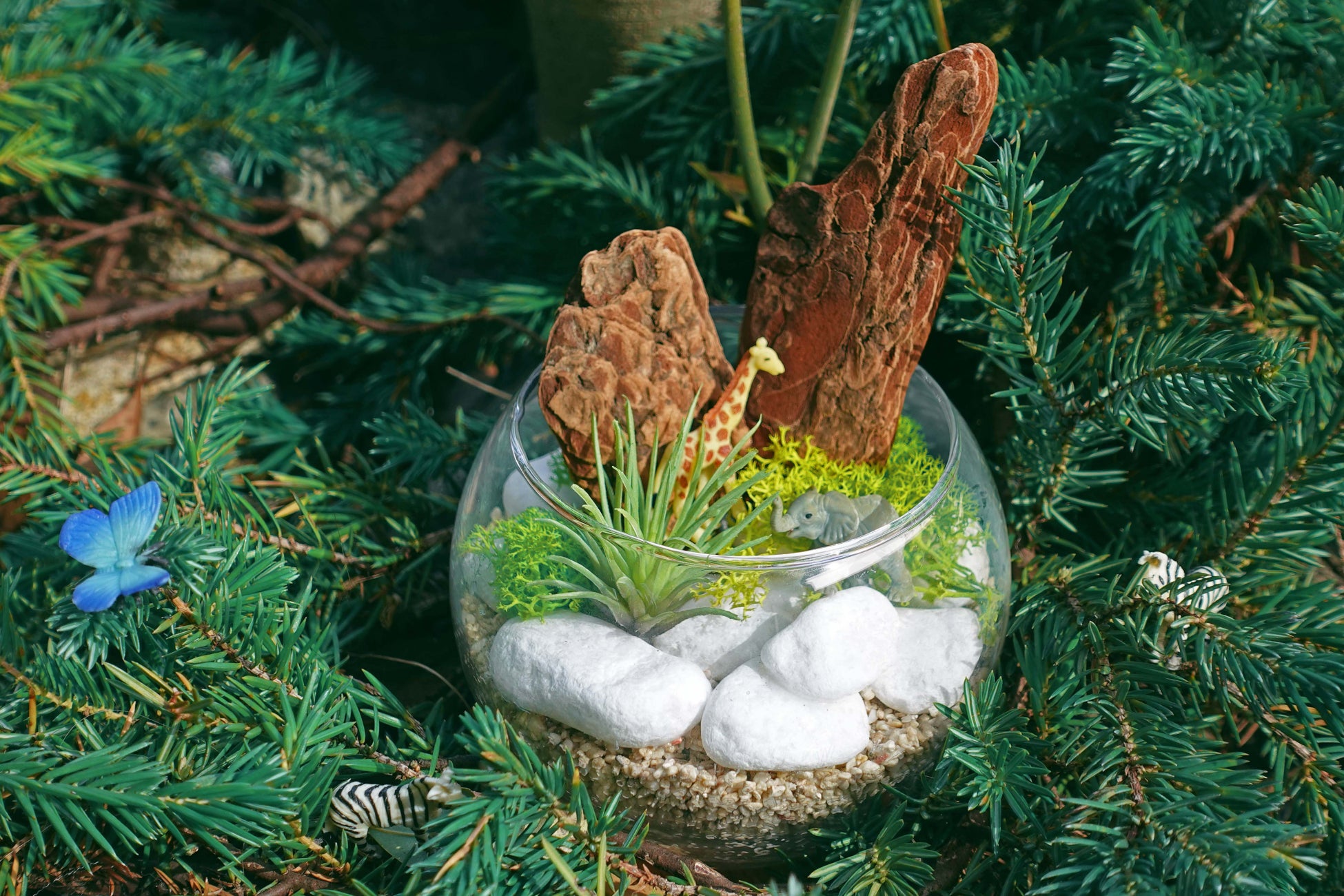 レインフォレスト カフェ(グラスガーデン作り)