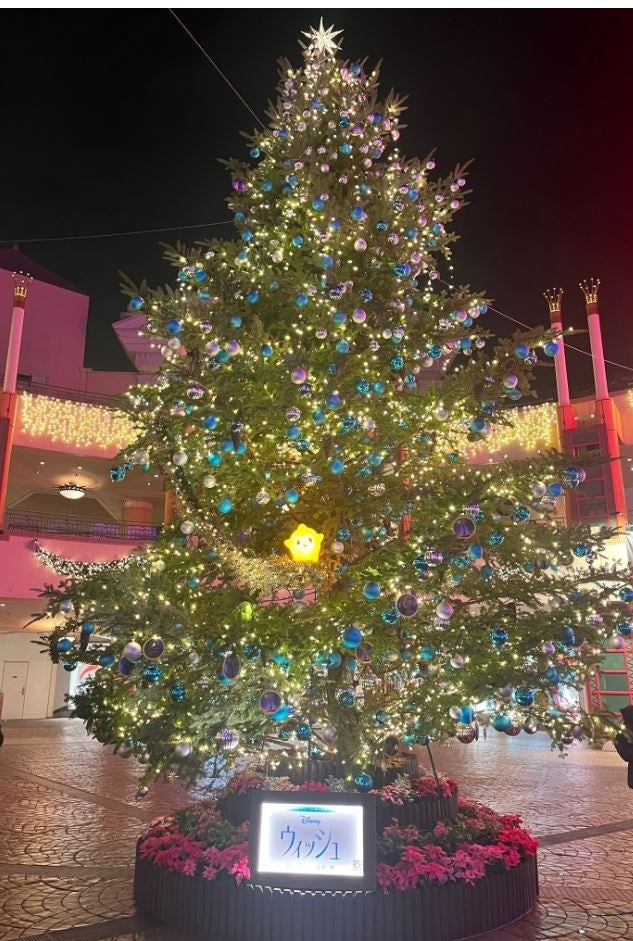 クリスマスツリーツリー（夜）