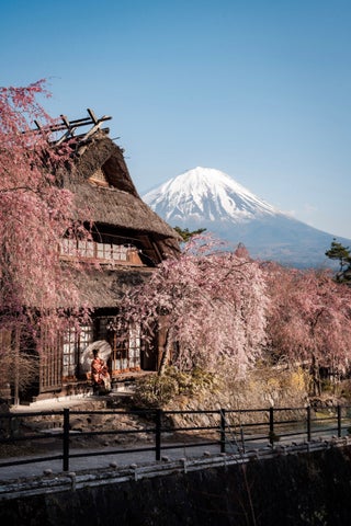 富士山×桜撮影ツアー開催!GOOPASSで特別な体験を 富士山×桜撮影ツアー開催!GOOPASSで特別な体験を