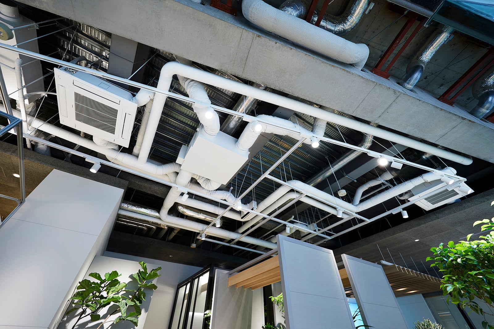 スケルトン天井