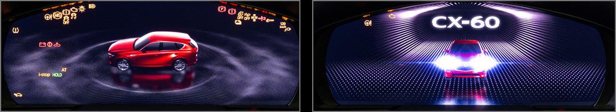 3D立体視像のイメージ（1）