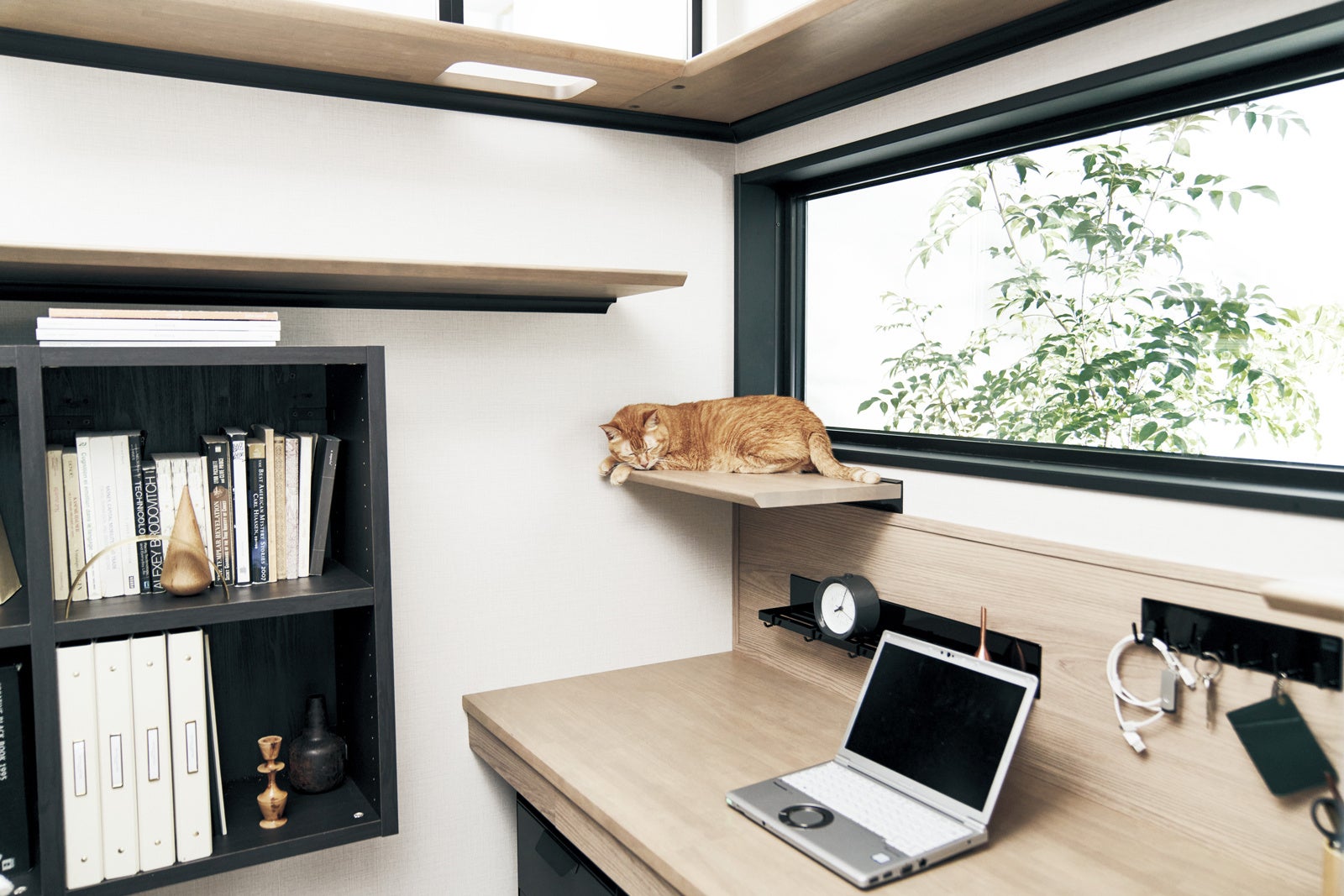 ねこキャットステップ