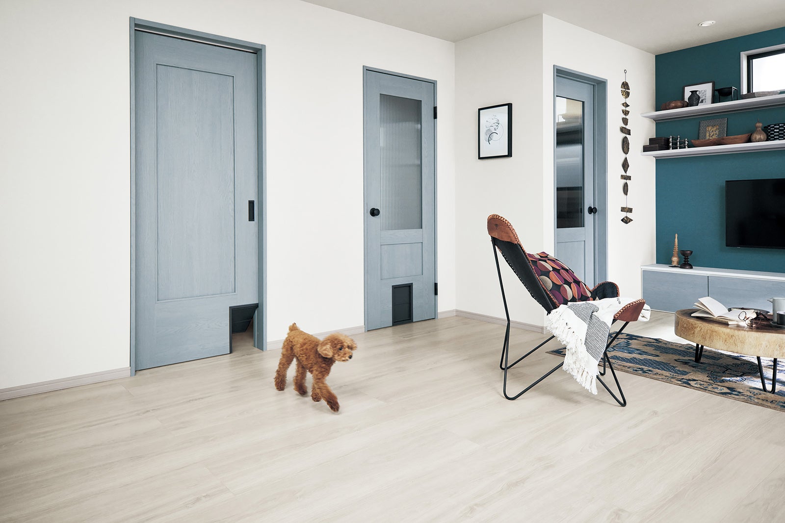 内装ドアくぐり戸全体イメージ