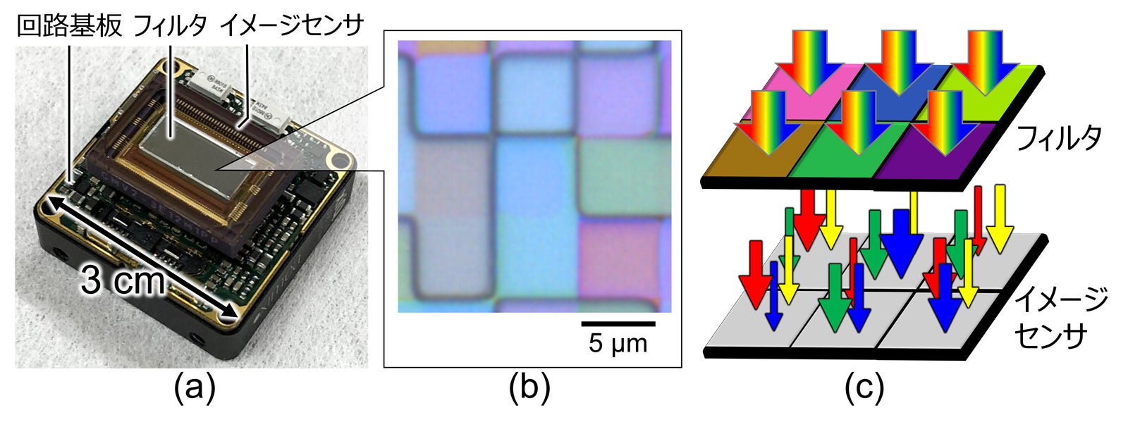 図1 開発したハイパースペクトル画像撮影技術の概要