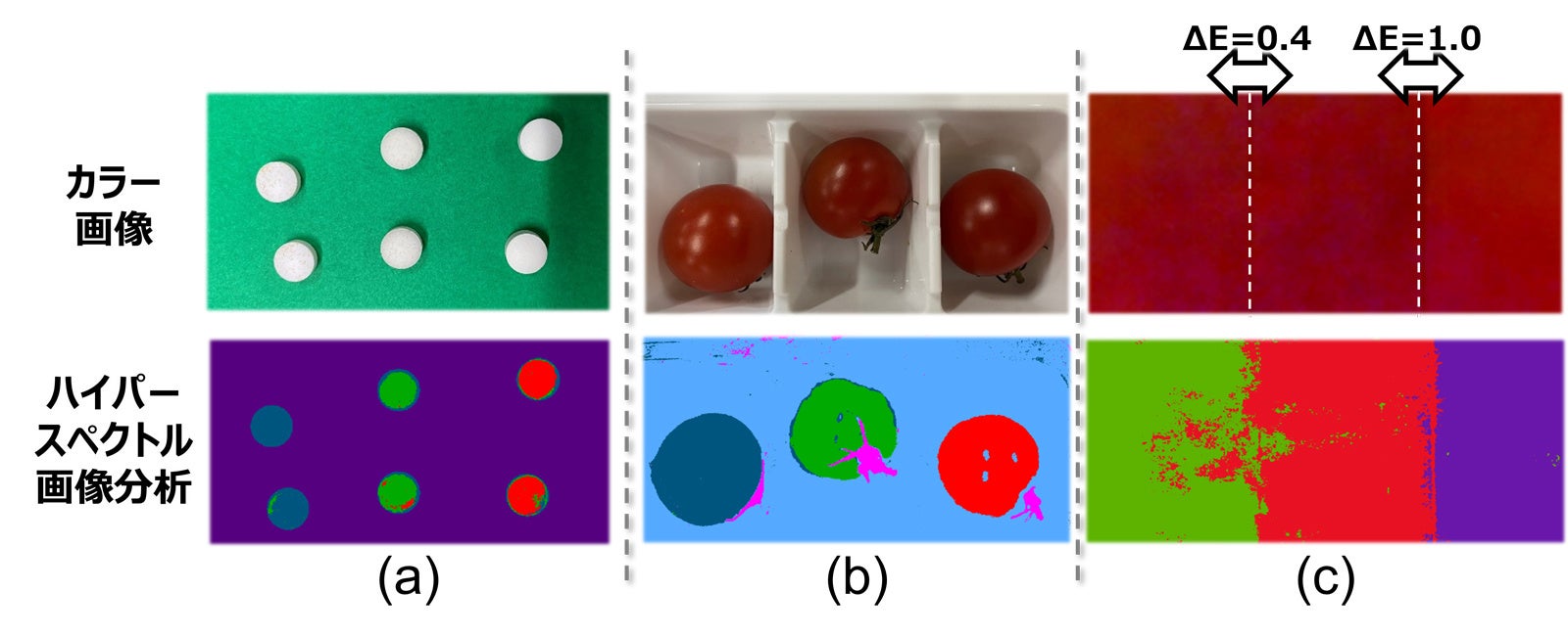 図4 ハイパースペクトル画像を用いた分析・検査例