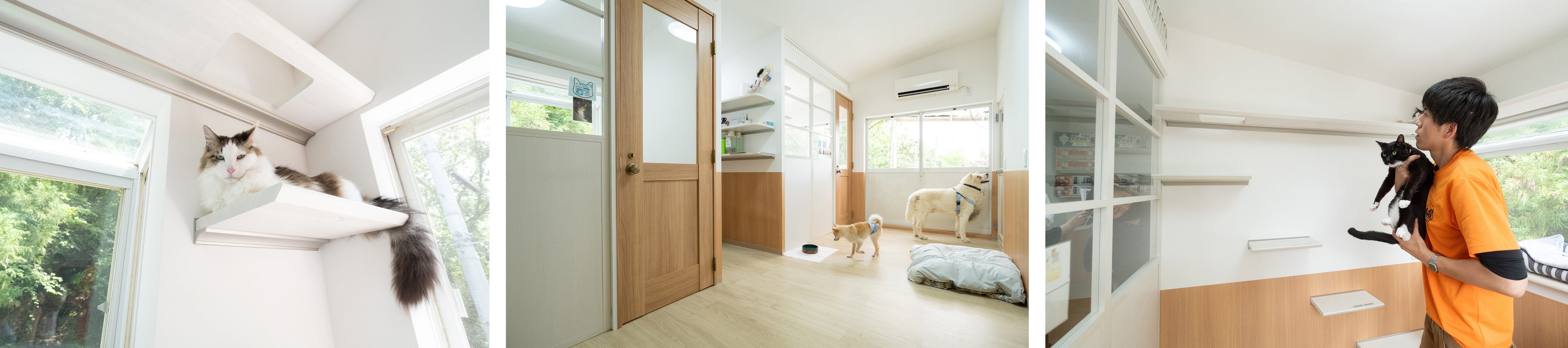 左：キャットステップがお気に入りの場所に 中央：ドア取っ手がにぎり玉でいたずらで開けにくい 右：しきり窓は下部がパネルなので目隠しに