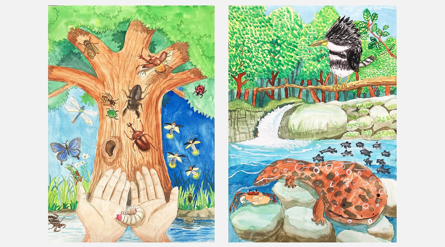 【なかよしこよし　ハナフブキ】グラスアート　イラスト　水彩画　原画 水彩画]5月の元気なエキナセアとホタルブクロの花を水彩ガッシュ