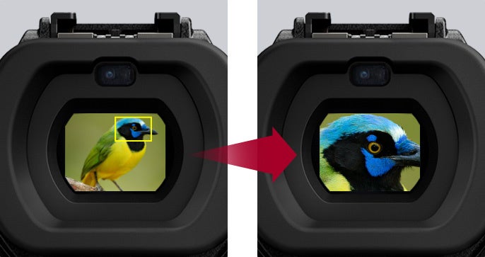 LUMIX S5 ミラーレス一眼カメラ ワーリー様専用 LUMIX フルサイズ