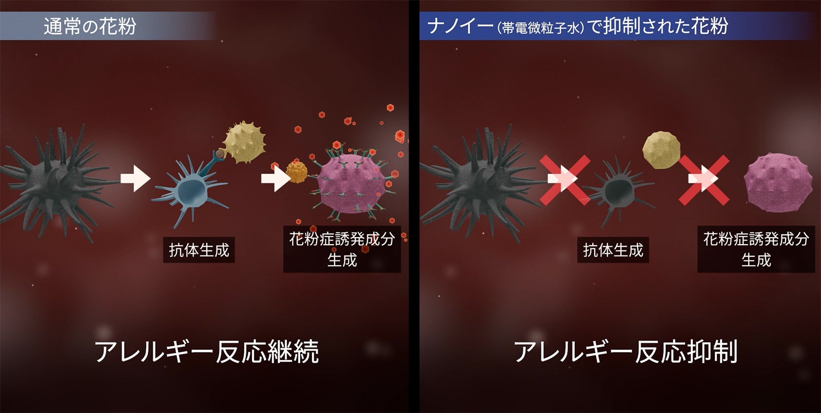 初めてナノイー(帯電微粒子水)技術による花粉アレルギー反応の抑制効果を細胞で実証 初めてナノイー(帯電微粒子水)技術による花粉アレルギー反応の抑制効果を細胞で実証