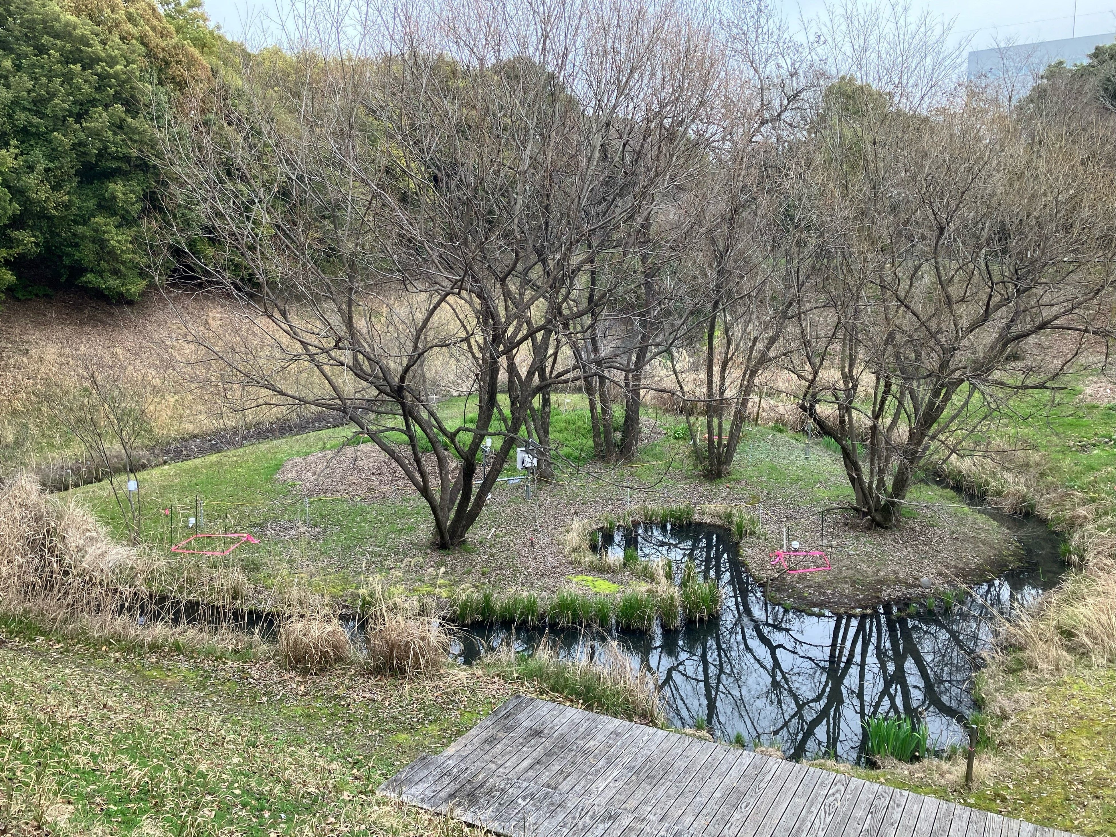 環境センサを設置した調査地区（コドラード）事例
