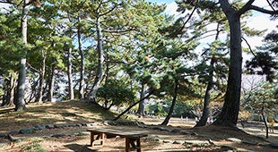 鵠沼松が岡公園