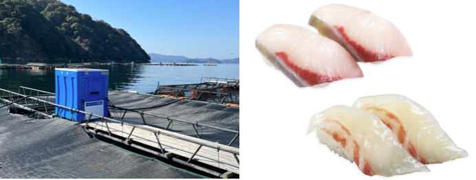 商品写真提供元：くら寿司