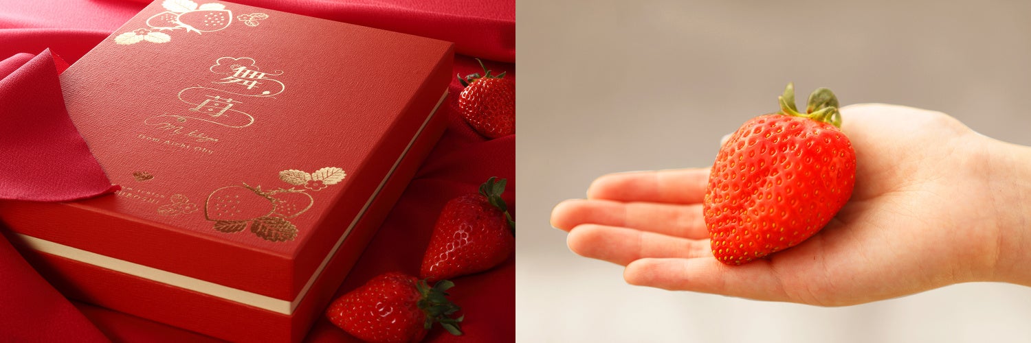 厳選高級いちご舞苺