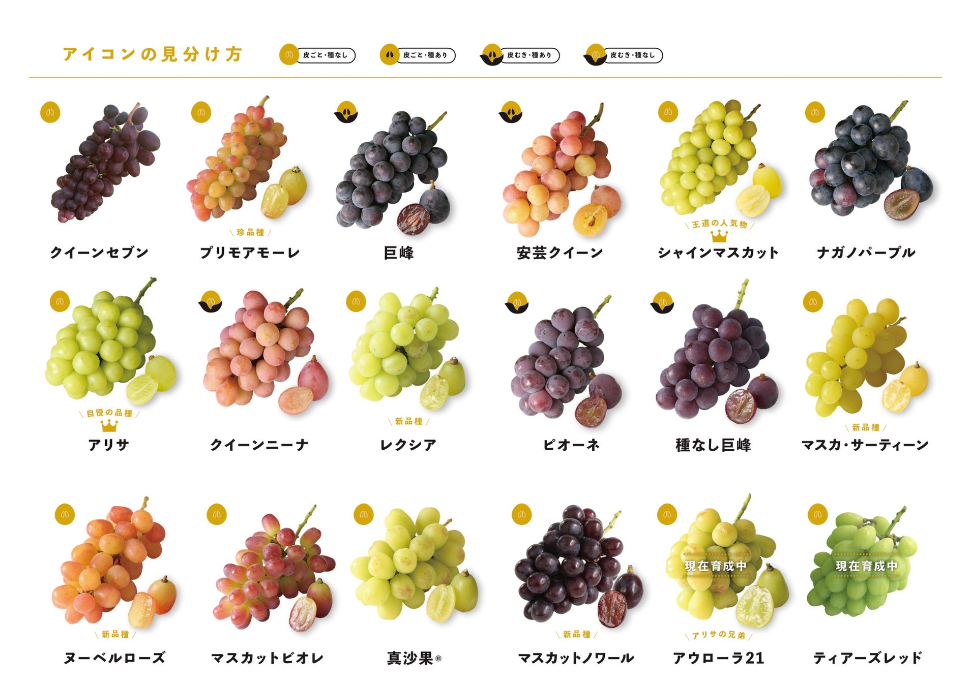 愛知県大府市にある 希少種ぶどうを栽培する 橘萄園 きっとうえん が 22年8月2日 火 に 楽しむ直売所 として新築リニューアルオープンします 株式会社コムデザインラボのプレスリリース 愛知県大府市にある 希少種ぶどうを栽培する 橘萄園 きっとうえん が 22年8月2日 火 に 楽しむ直売所 として新築リニューアルオープンします 株式会社コムデザインラボのプレスリリース