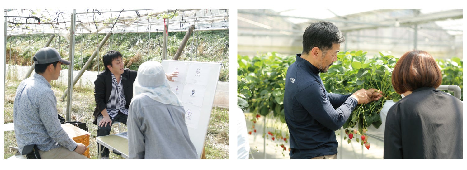 左：ぶどう農家さんとの打ち合わせ風景 　右：成功農家さんのオーナーインタビューの様子