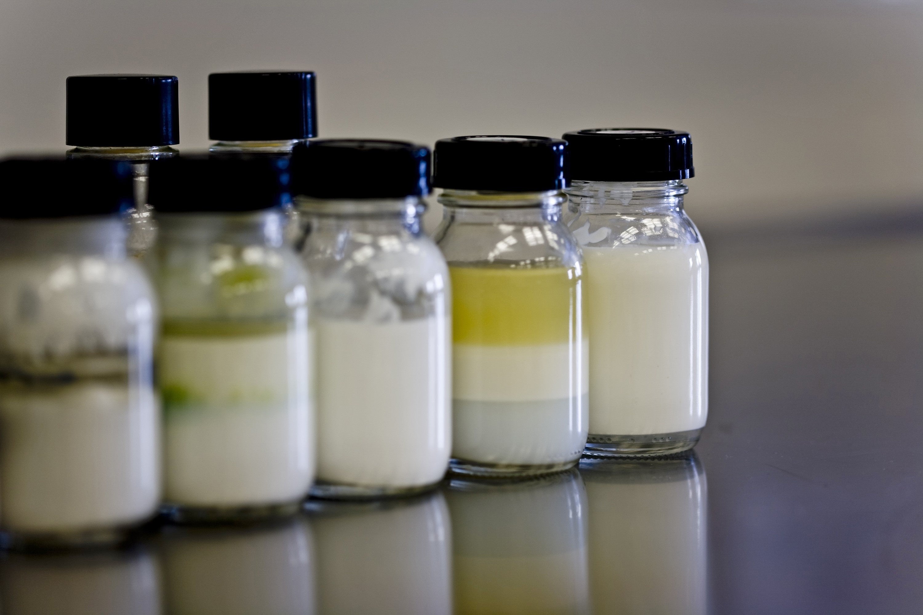 ランクセスの保存剤は包括的な物質保護を実現します。（写真：ランクセスAG）